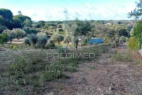 Helårsgrund i Ourem, Santarem, Ourem - € 35.000 | Ref: 055963 - foto 1
