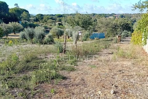 Helårsgrund i Ourem, Santarem, Ourem - € 35.000 | Ref: 055963 - foto 2