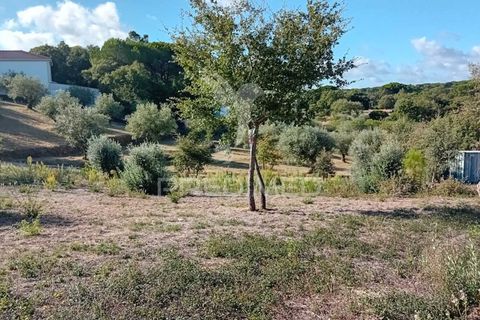 Helårsgrund i Ourem, Santarem, Ourem - € 35.000 | Ref: 055963 - foto 4