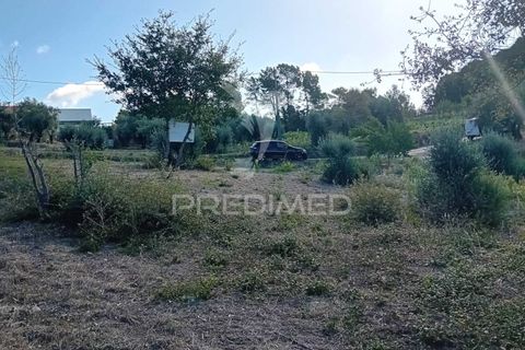 Helårsgrund i Ourem, Santarem, Ourem - € 35.000 | Ref: 055963 - foto 5