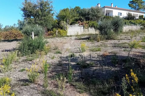 Helårsgrund i Ourem, Santarem, Ourem - € 35.000 | Ref: 055963 - foto 6
