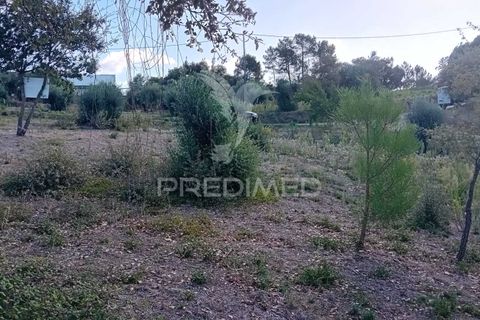 Helårsgrund i Ourem, Santarem, Ourem - € 35.000 | Ref: 055963 - foto 7