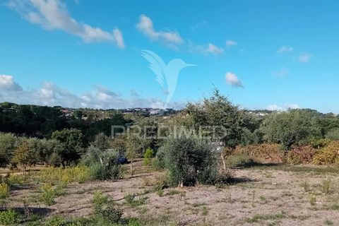 Helårsgrund i Ourem, Santarem, Ourem - € 35.000 | Ref: 055963 - foto 8