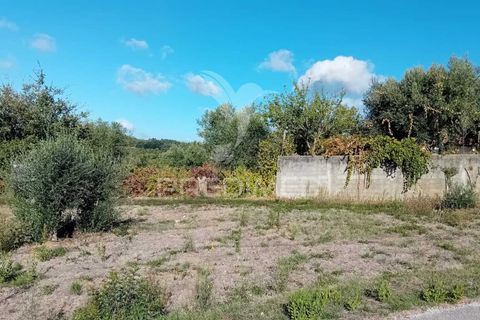 Helårsgrund i Ourem, Santarem, Ourem - € 35.000 | Ref: 055963 - foto 9