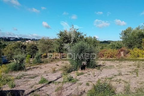 Helårsgrund i Ourem, Santarem, Ourem - € 35.000 | Ref: 055963 - foto 10