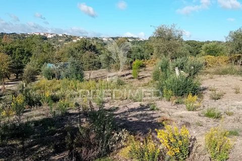 Helårsgrund i Ourem, Santarem, Ourem - € 35.000 | Ref: 055963 - foto 12