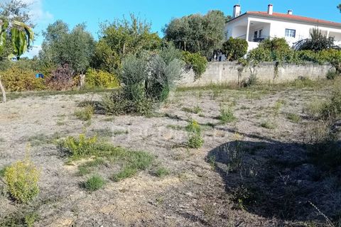 Helårsgrund i Ourem, Santarem, Ourem - € 35.000 | Ref: 055963 - foto 13
