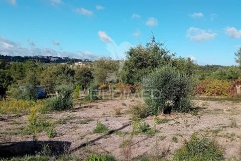 Helårsgrund i Ourem, Santarem, Ourem - € 35.000 | Ref: 055963 - foto 14