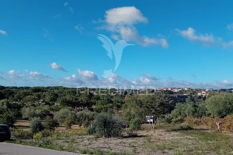 Helårsgrund i Ourem, Santarem, Ourem - € 35.000 | Ref: 055963 - foto 15