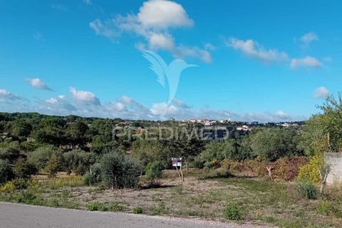 Helårsgrund i Ourem, Santarem, Ourem - € 35.000 | Ref: 055963 - foto 17