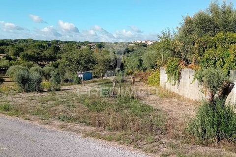 Helårsgrund i Ourem, Santarem, Ourem - € 35.000 | Ref: 055963 - foto 18