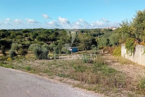 Helårsgrund i Ourem, Santarem, Ourem - € 35.000 | Ref: 055963 - foto 19