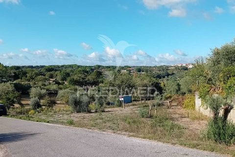 Helårsgrund i Ourem, Santarem, Ourem - € 35.000 | Ref: 055963 - foto 20