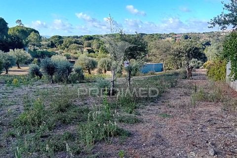 Helårsgrund i Ourem, Santarem, Ourem - € 35.000 | Ref: 055963 - foto 21