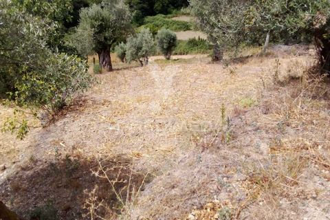 Byhus i Penalva do Castelo, Viseu, Penalva do Castelo - € 79.500 | Ref: 056054 - foto 8