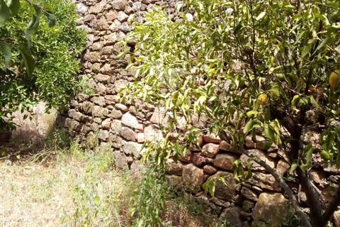 Byhus i Penalva do Castelo, Viseu, Penalva do Castelo - € 79.500 | Ref: 056054 - foto 9