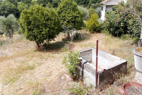 Byhus i Penalva do Castelo, Viseu, Penalva do Castelo - € 79.500 | Ref: 056054 - foto 15