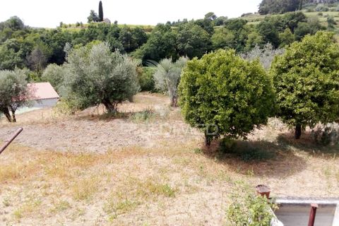 Byhus i Penalva do Castelo, Viseu, Penalva do Castelo - € 79.500 | Ref: 056054 - foto 16