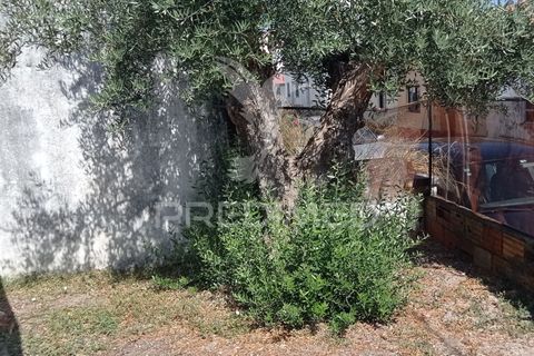Byhus i Ponte de Sor, Portalegre, Ponte de Sor - € 27.000 | Ref: 056537 - foto 13