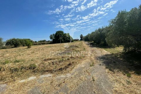 Tomt i Azambuja, Lisbon, Azambuja - € 67 000 | Ref: 056567 - foto 3