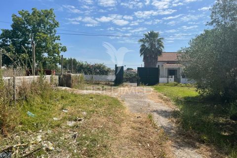 Tomt i Azambuja, Lisbon, Azambuja - € 67 000 | Ref: 056567 - foto 5