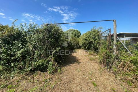 Tomt i Azambuja, Lisbon, Azambuja - € 67 000 | Ref: 056567 - foto 8