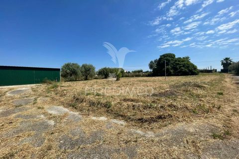 Tomt i Azambuja, Lisbon, Azambuja - € 67 000 | Ref: 056567 - foto 9