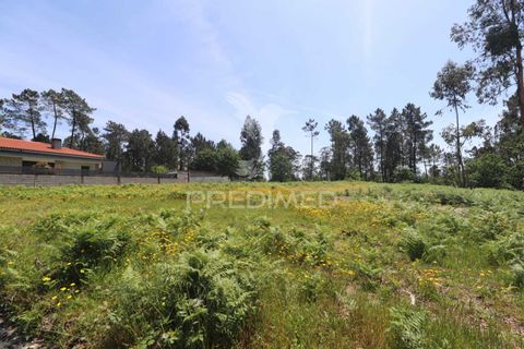 Helårsgrund i Vila Verde, Braga, Vila Verde - € 190.000 | Ref: 056717 - foto 7