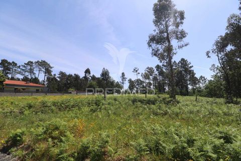 Helårsgrund i Vila Verde, Braga, Vila Verde - € 190.000 | Ref: 056717 - foto 8