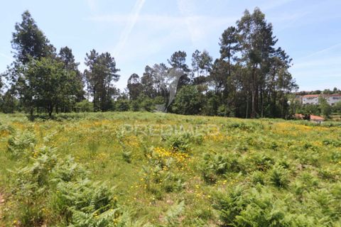 Helårsgrund i Vila Verde, Braga, Vila Verde - € 190.000 | Ref: 056717 - foto 10