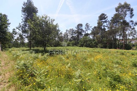 Helårsgrund i Vila Verde, Braga, Vila Verde - € 190.000 | Ref: 056717 - foto 11