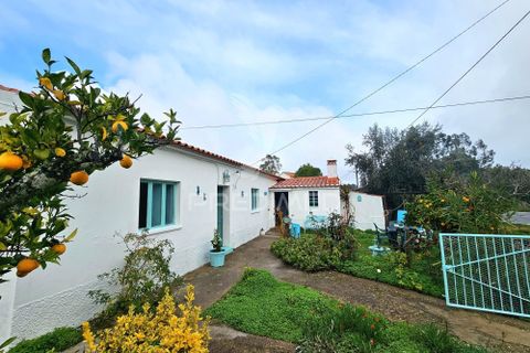 Byhus i Almodovar, Beja, Almodovar - € 260.000 | Ref: 057061 - foto 31