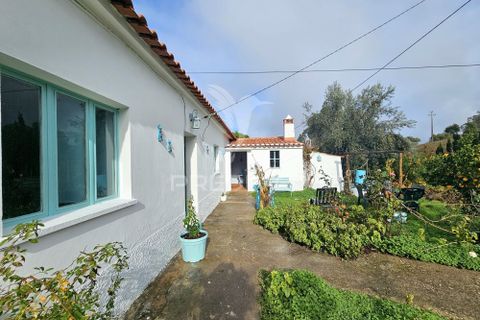 Byhus i Almodovar, Beja, Almodovar - € 260.000 | Ref: 057061 - foto 32