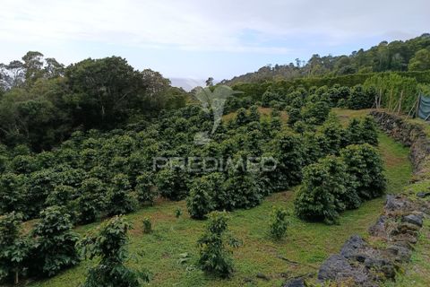 Helårsgrund i Velas, Sao Jorge, Velas - € 55.000 | Ref: 057367 - foto 1