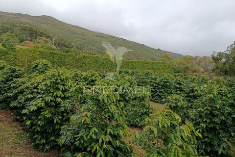 Helårsgrund i Velas, Sao Jorge, Velas - € 55.000 | Ref: 057367 - foto 2