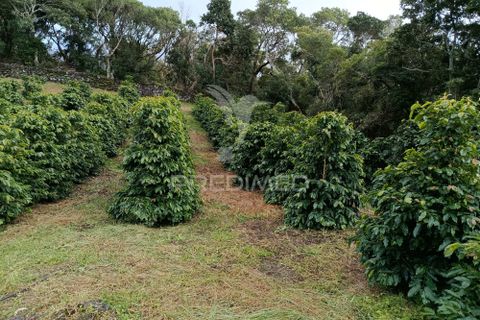 Helårsgrund i Velas, Sao Jorge, Velas - € 55.000 | Ref: 057367 - foto 4