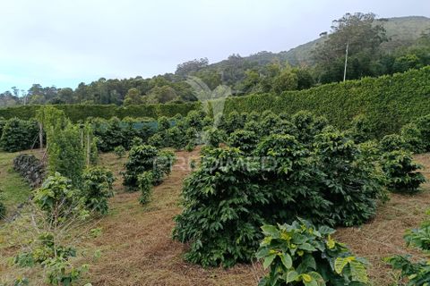 Helårsgrund i Velas, Sao Jorge, Velas - € 55.000 | Ref: 057367 - foto 5