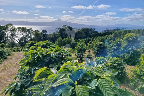 Helårsgrund i Velas, Sao Jorge, Velas - € 55.000 | Ref: 057367 - foto 7