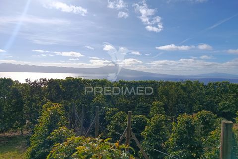 Helårsgrund i Velas, Sao Jorge, Velas - € 55.000 | Ref: 057367 - foto 8