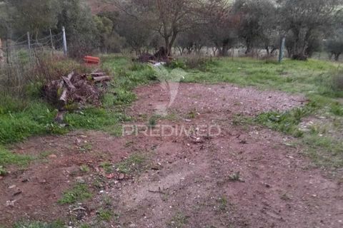 Byhus i Alandroal, Evora, Alandroal - € 120.000 | Ref: 057370 - foto 16