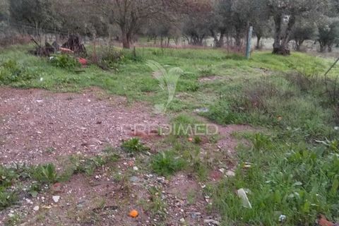 Byhus i Alandroal, Evora, Alandroal - € 120.000 | Ref: 057370 - foto 17