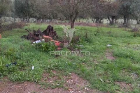 Byhus i Alandroal, Evora, Alandroal - € 120.000 | Ref: 057370 - foto 18