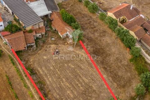 Byhus i Alcobaca, Leiria, Alcobaca - € 299.000 | Ref: 057693 - foto 35