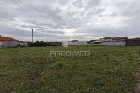 Helårsgrund i Ilhavo, Aveiro, Ilhavo - € 69.900 | Ref: 057805 - foto 2