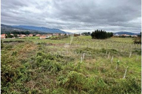 Farm hus i Moncao, Viana do Castelo, Moncao - € 580.000 | Ref: 057810 - foto 14