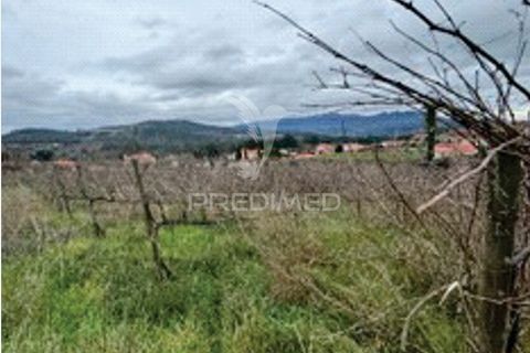 Farm hus i Moncao, Viana do Castelo, Moncao - € 580.000 | Ref: 057810 - foto 16