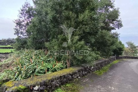 Helårsgrund i Sao Roque do Pico, Pico, Sao Roque do Pico - € 5.000 | Ref: 057840 - foto 2