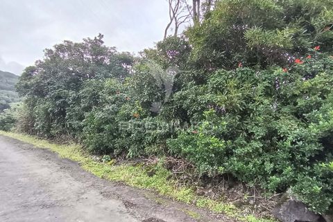 Helårsgrund i Sao Roque do Pico, Pico, Sao Roque do Pico - € 5.000 | Ref: 057840 - foto 4