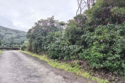 Helårsgrund i Sao Roque do Pico, Pico, Sao Roque do Pico - € 5.000 | Ref: 057840 - foto 5