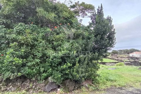 Helårsgrund i Sao Roque do Pico, Pico, Sao Roque do Pico - € 5.000 | Ref: 057840 - foto 6